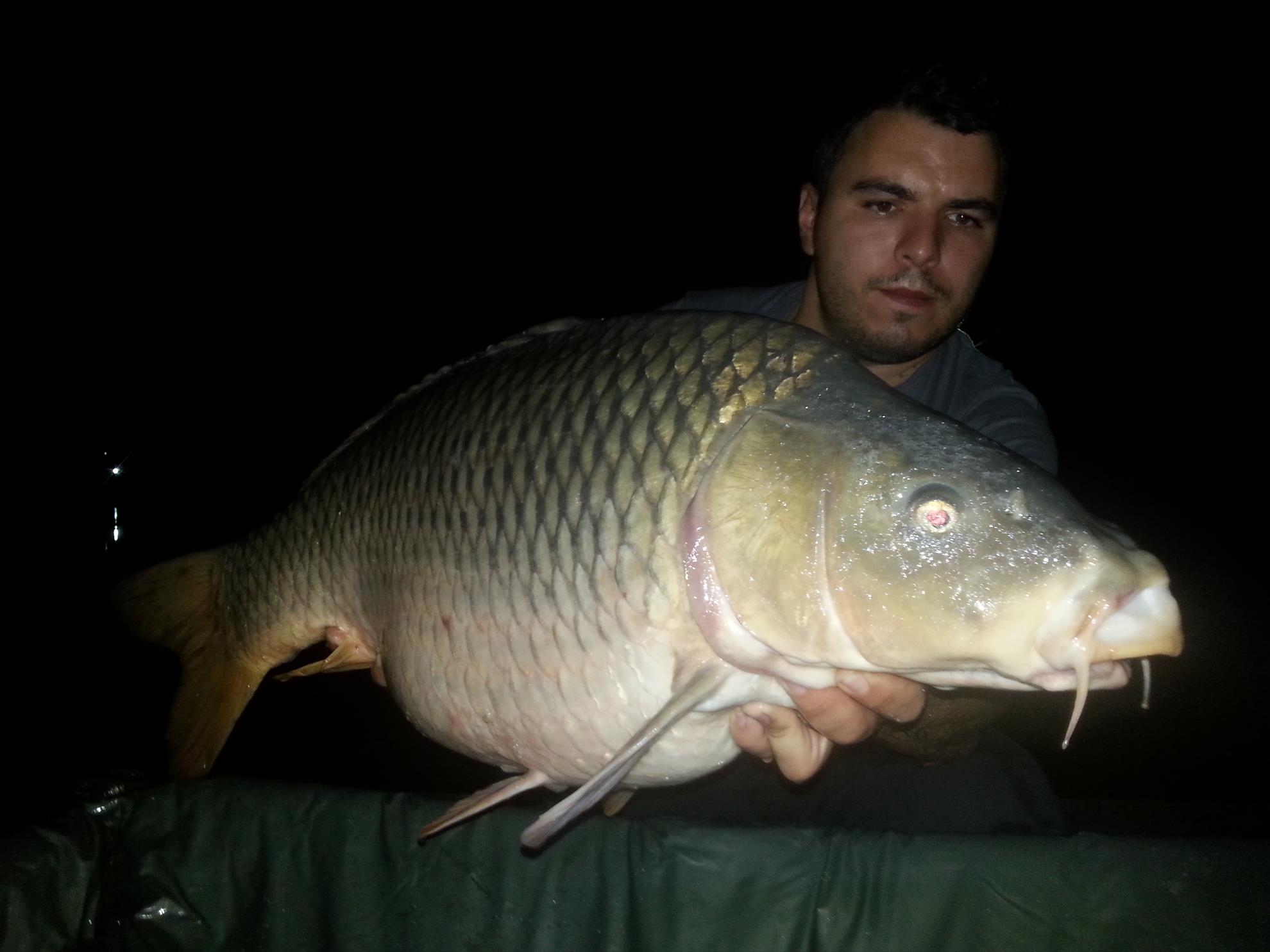 Moara Vlasiei 2 28 - 30 august 2015 - 20150829005101.jpg